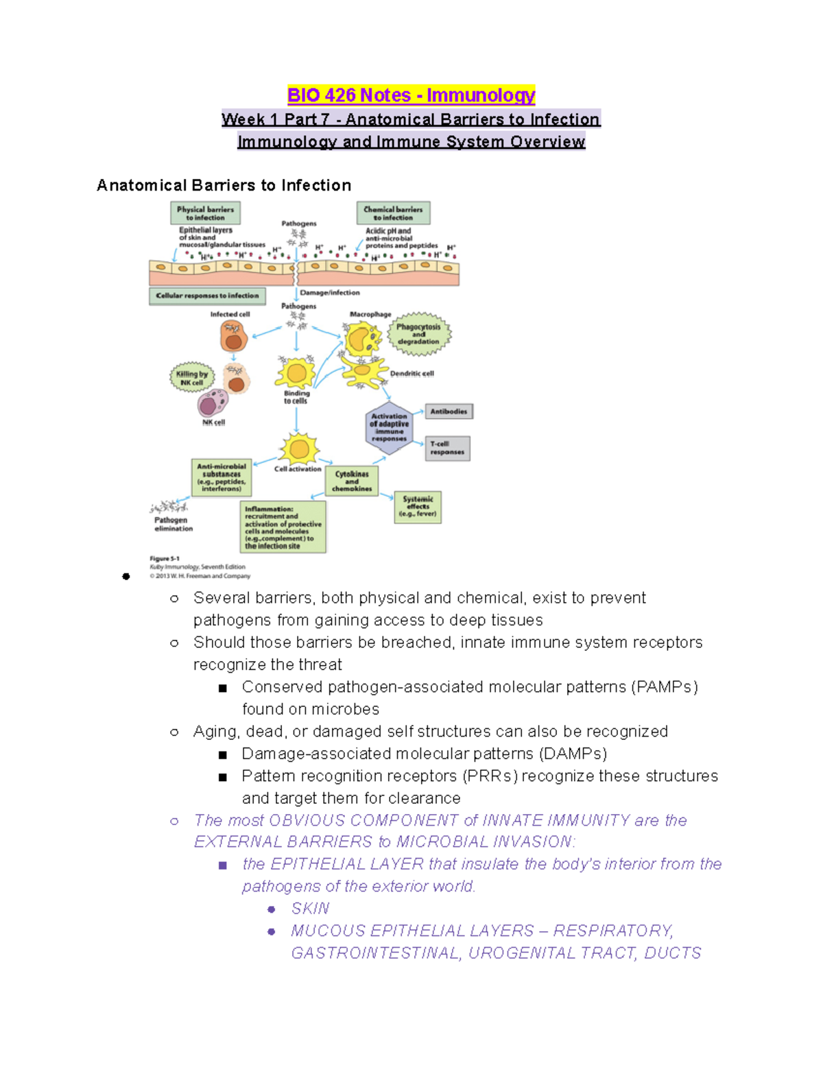 BIO 426 Week 1 Lecture Notes Part 7 - Anatomical Barriers to Infection ...