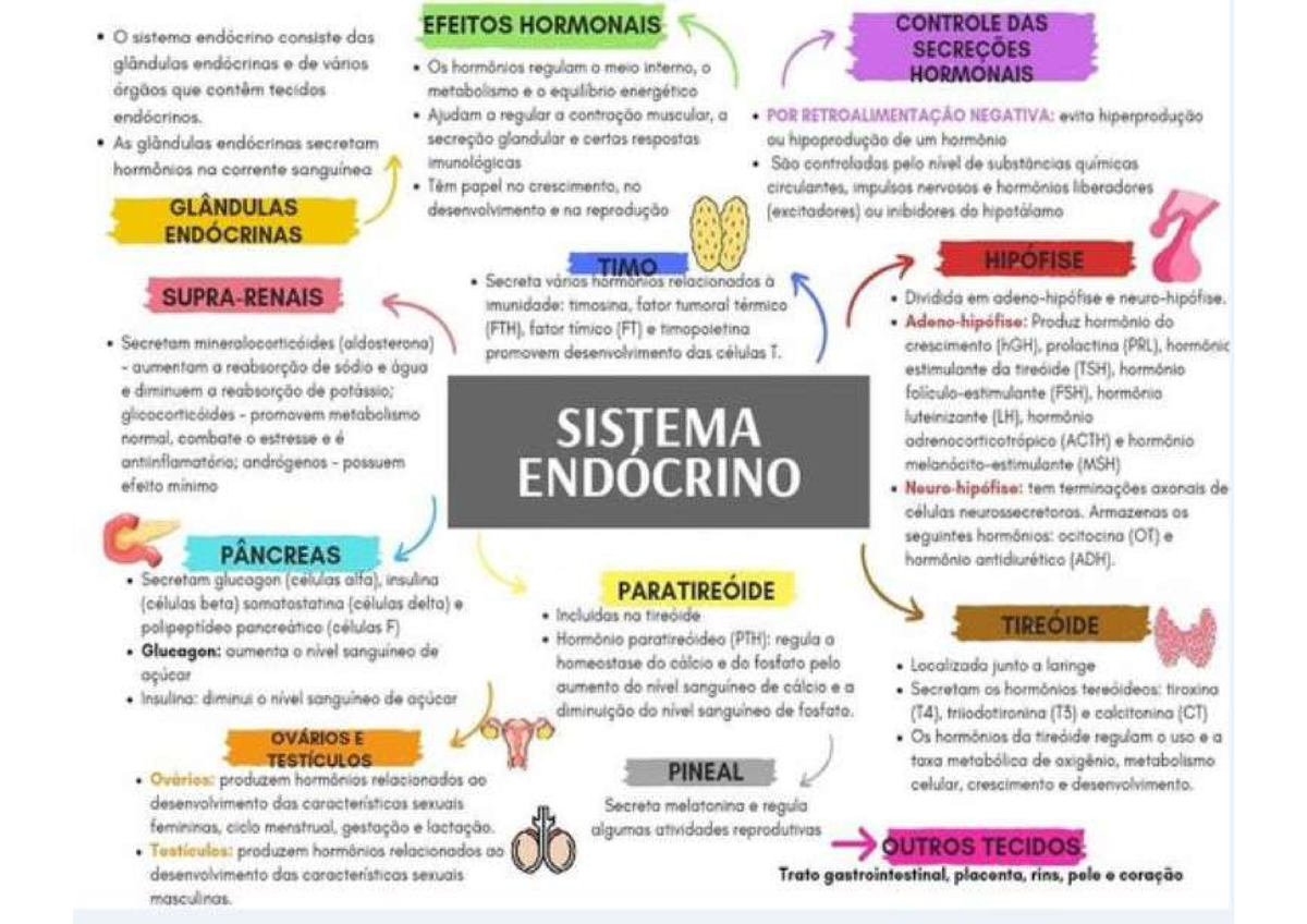 Sistema Endocrino MAPA MENTAL Avaliar as condições de saúde e os hábitos de vida do cliente