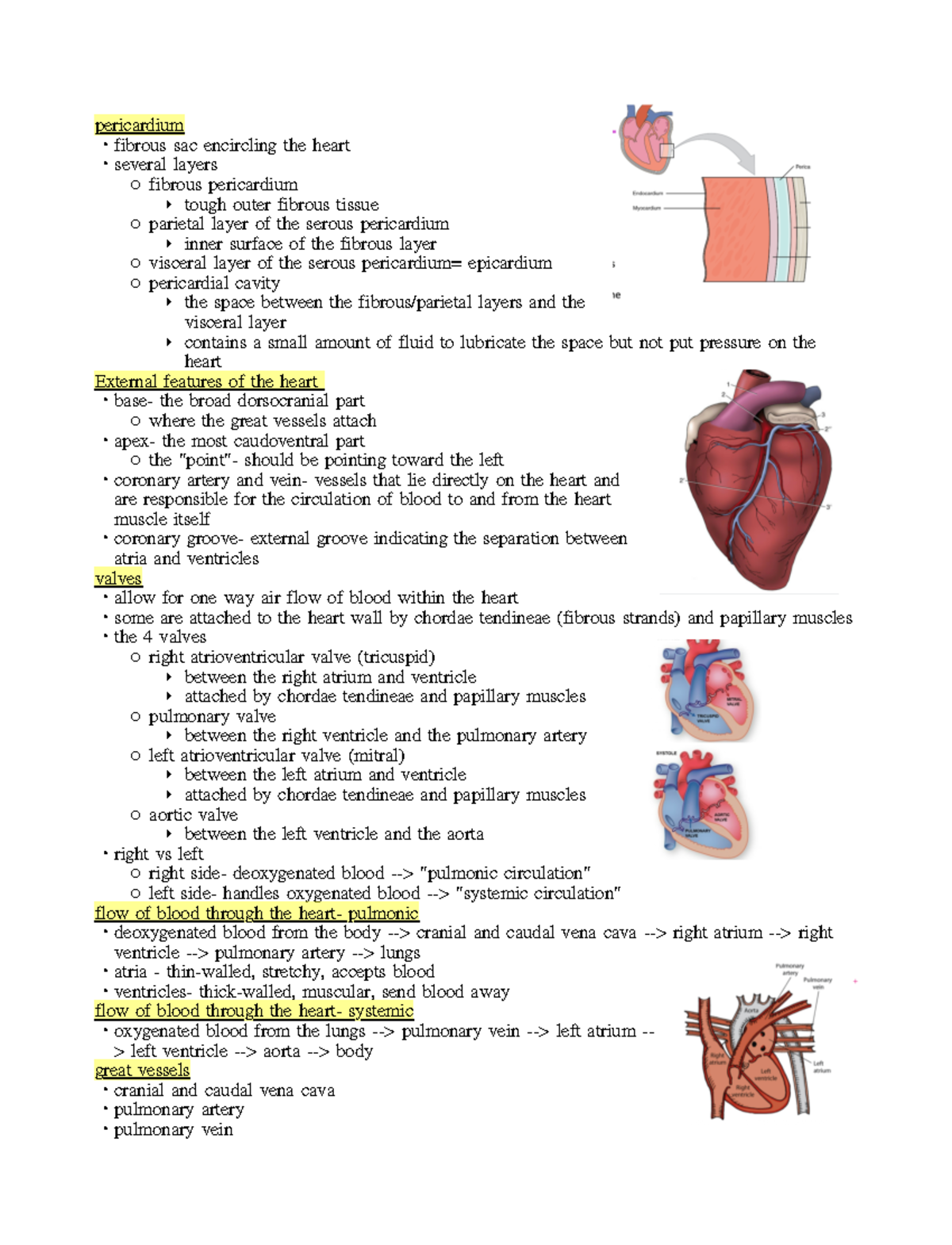 Cardio part 2 - pericardium · fibrous sac encircling the heart ·several ...