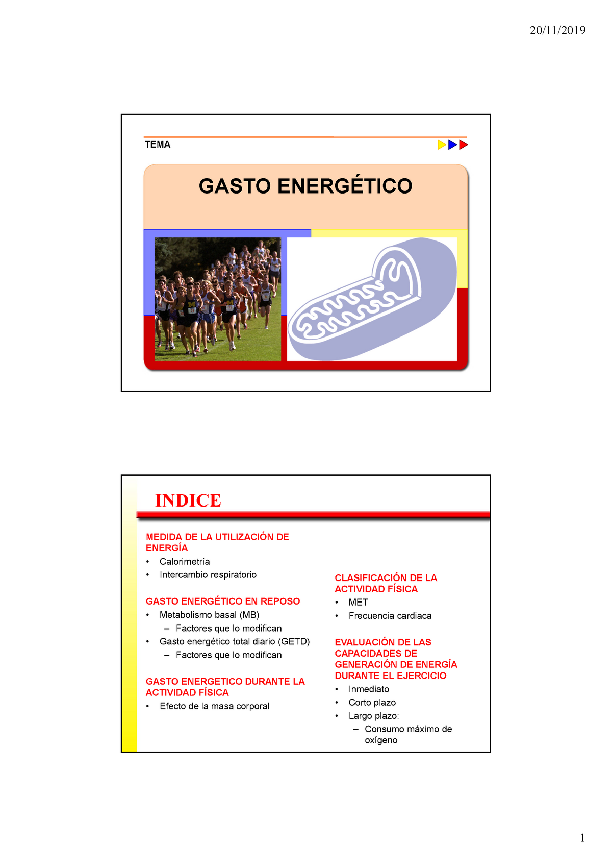 Tema Gasto Energetico Y Fatiga - TEMA GASTO ENERGÉTICO MEDIDA DE LA ...