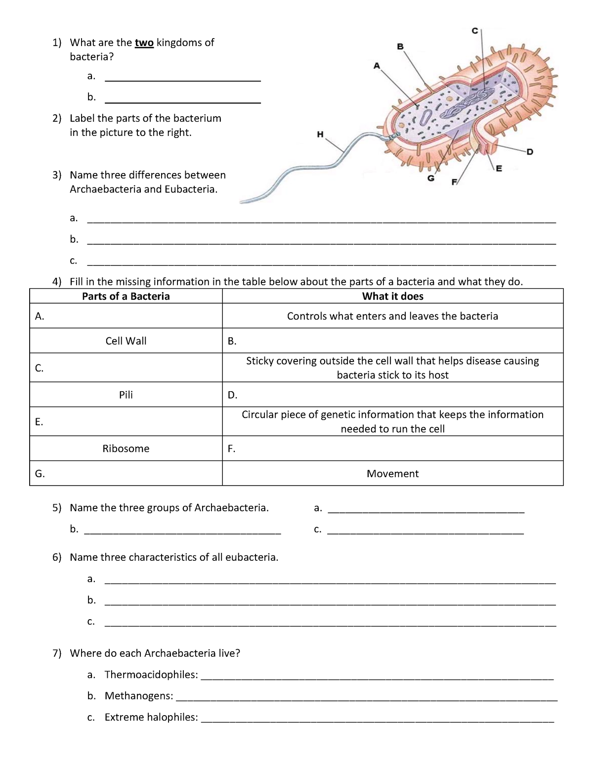 Bacteria Characteristics worksheet - What are the two kingdoms of ...