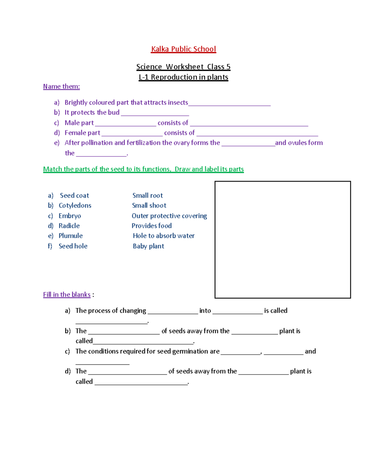 Class-5 Science 1 - Good notes - Kalka Public School Science Worksheet ...