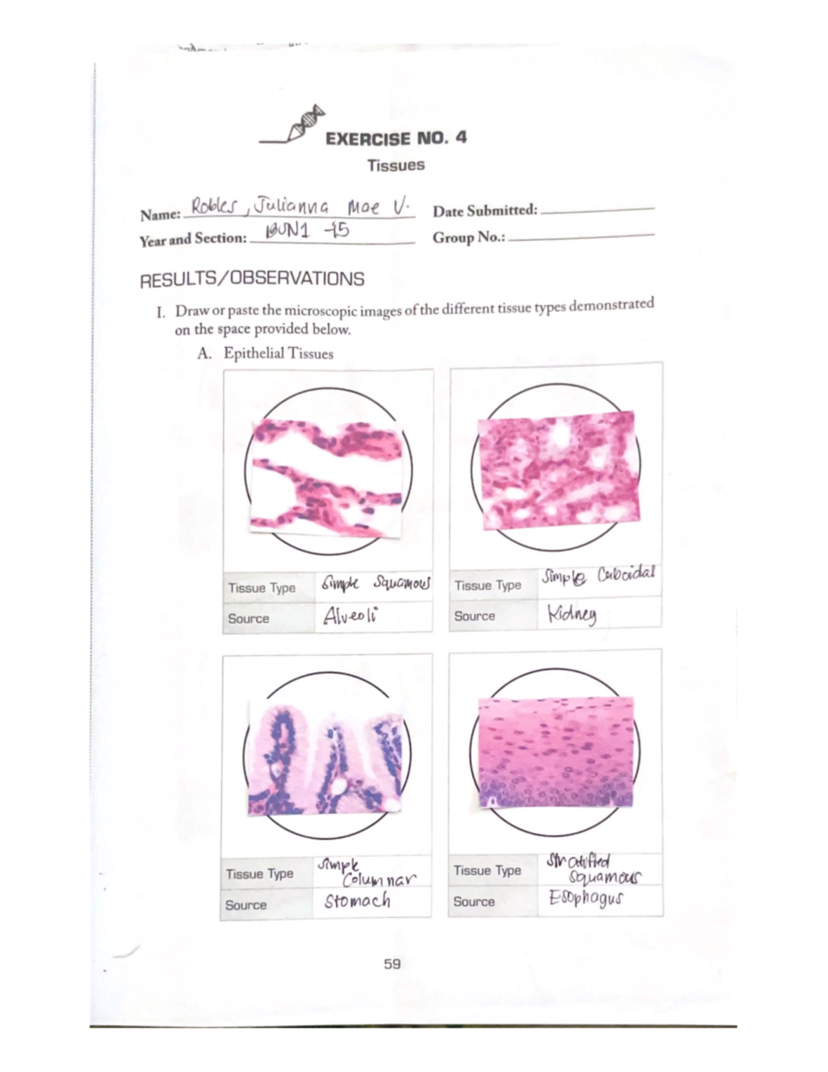 Lab Manual Exercise 4 - Anaphy and Physiology - Studocu