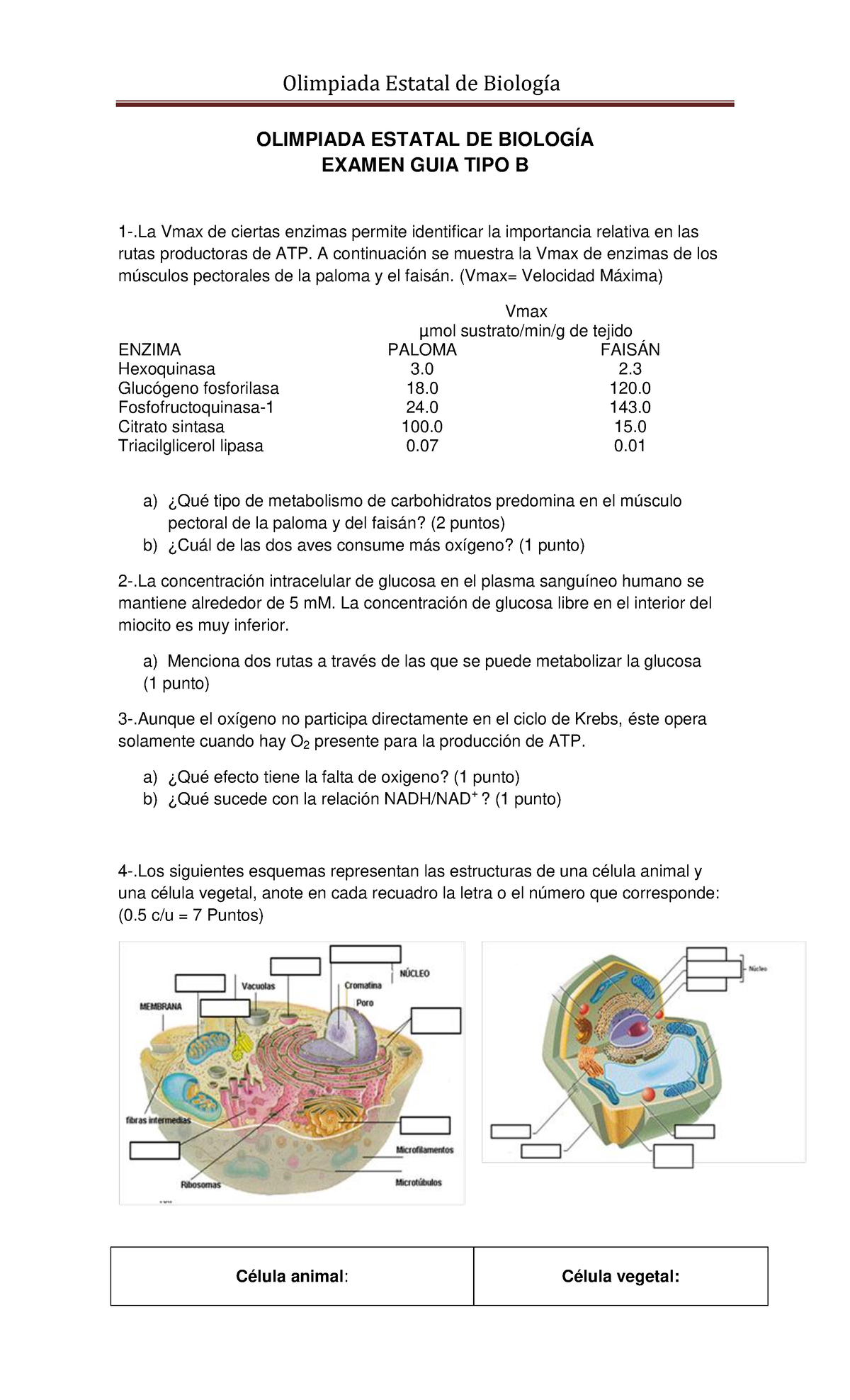 Examen Biología TIPO B - OLIMPIADA ESTATAL DE BIOLOGÍA EXAMEN GUIA TIPO ...