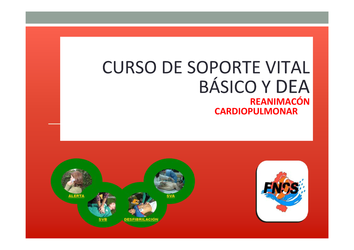 2RCP Basica 1112 - Med - ì CURSO DE SOPORTE VITAL B¡SICO Y DEA REANIMAC ...