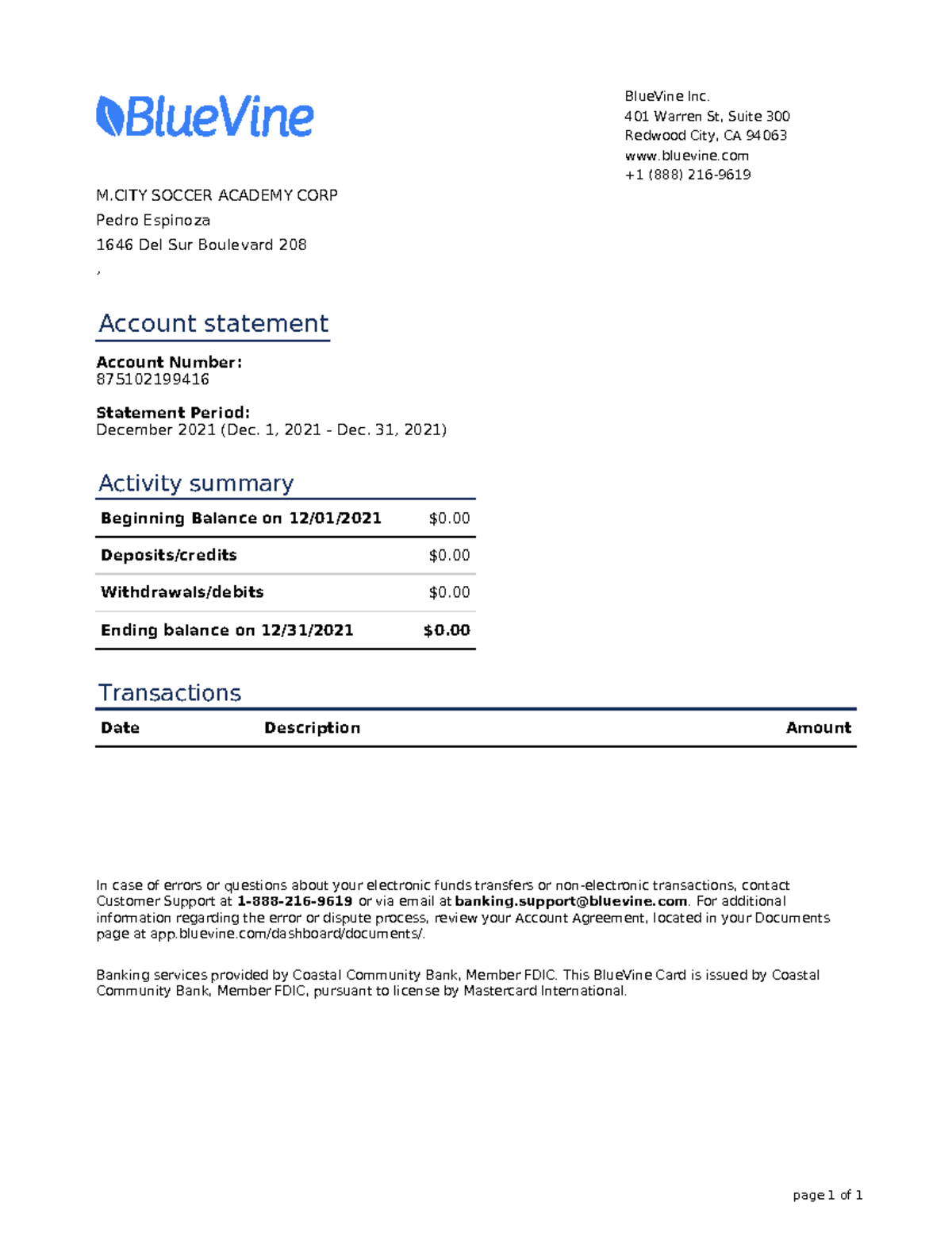 Bluevine Bank Statement Template