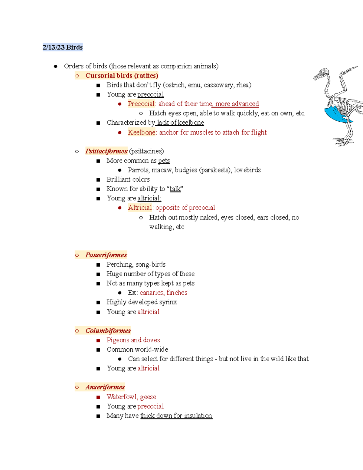 An Sci 9 - Animal Science 200 Lecture - 2/13/23 Birds Orders of birds ...