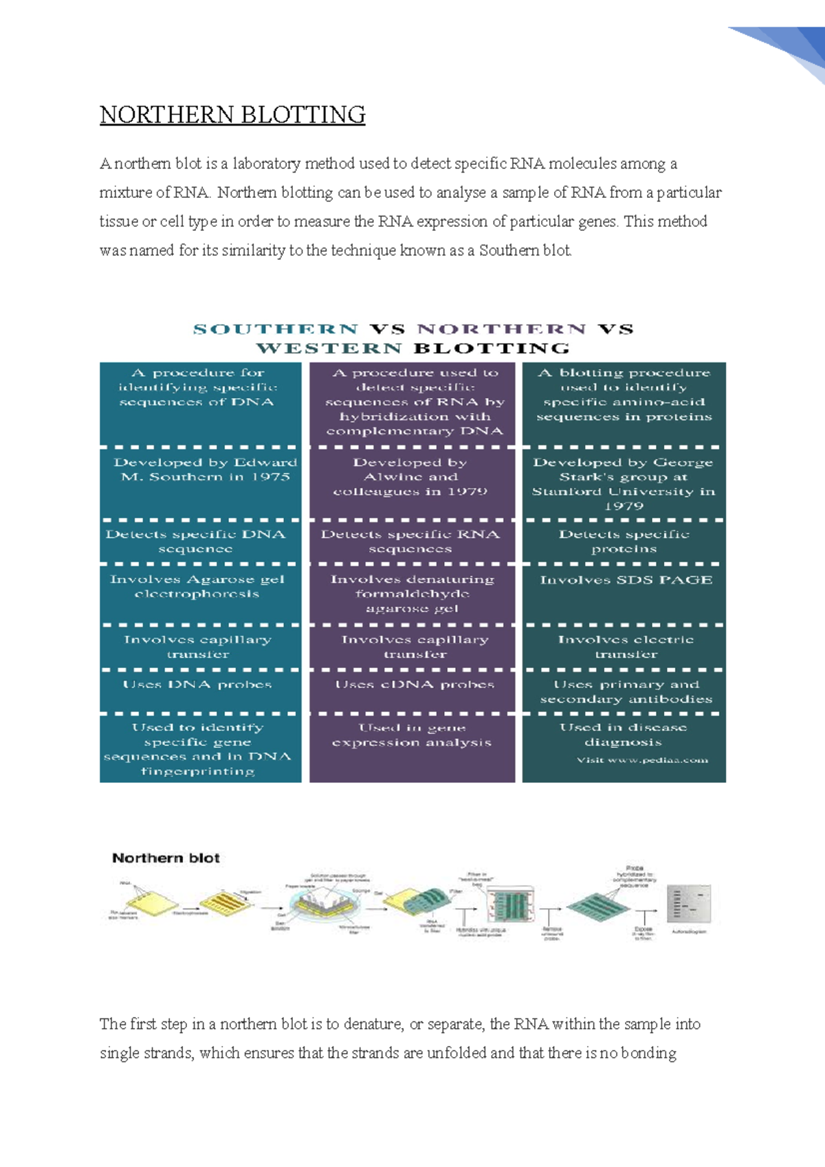 Northern Blotting NORTHERN BLOTTING A northern blot is a laboratory