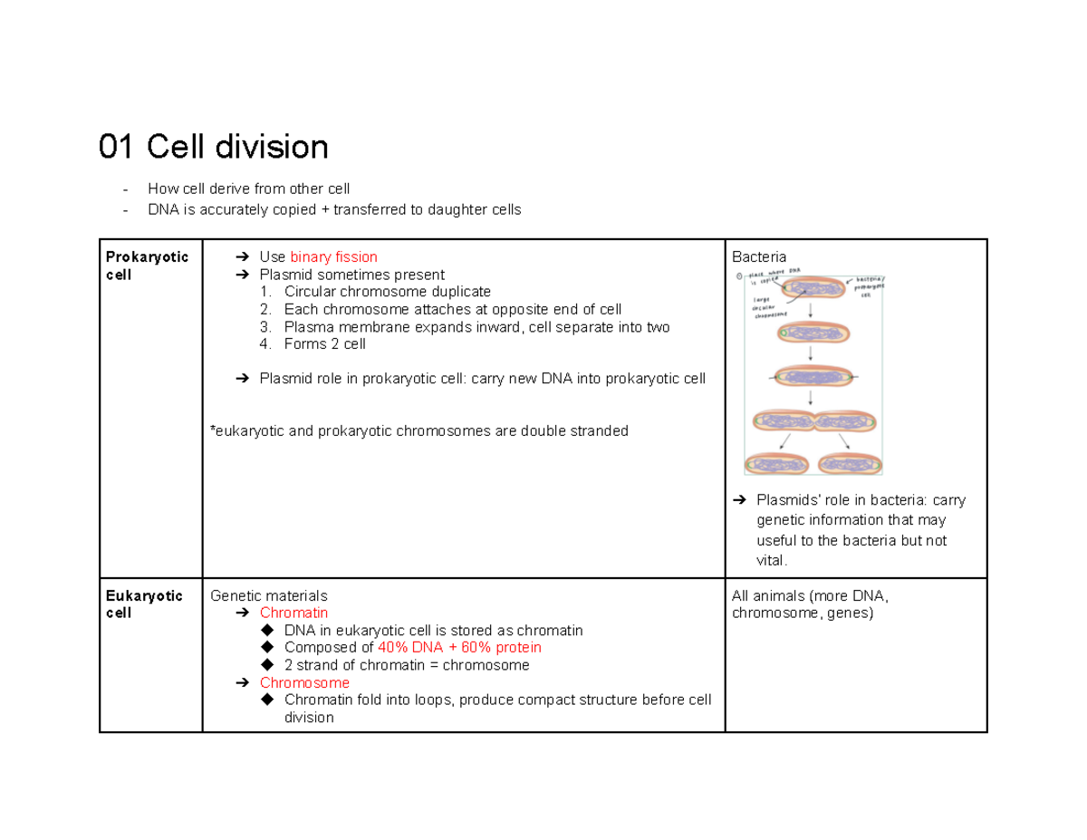 S2 BIO notes - Summary Biology I - 01 Cell division How cell derive ...