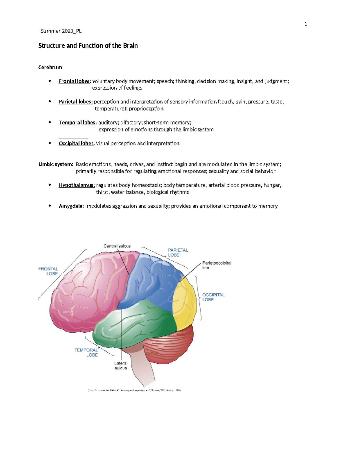 Chapter+6 Biological+Basis Summer+2023 - Summer 2023_PL Structure and ...