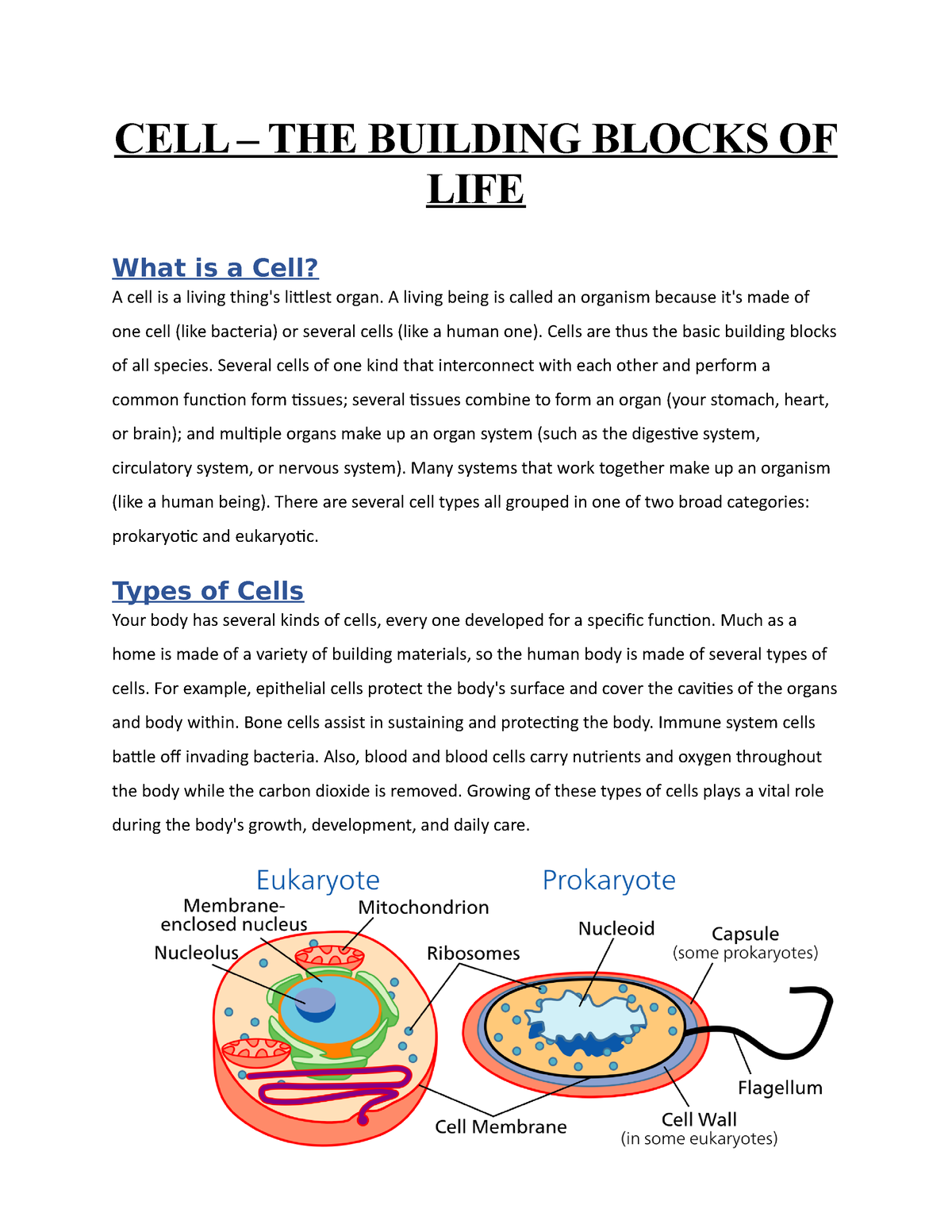 CELL – THE Building Blocks OF LIFE - CELL – THE BUILDING BLOCKS OF LIFE ...