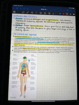 Chapter 7 Lecture Notes - Chapter Seven—Learning Learning Learning: the ...