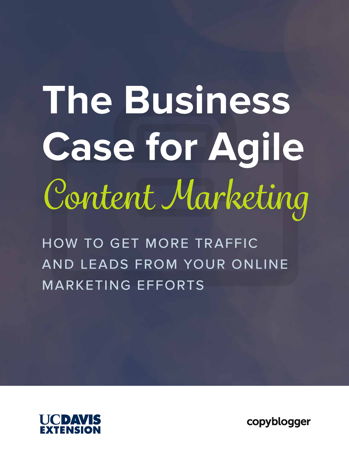 case study agile marketing