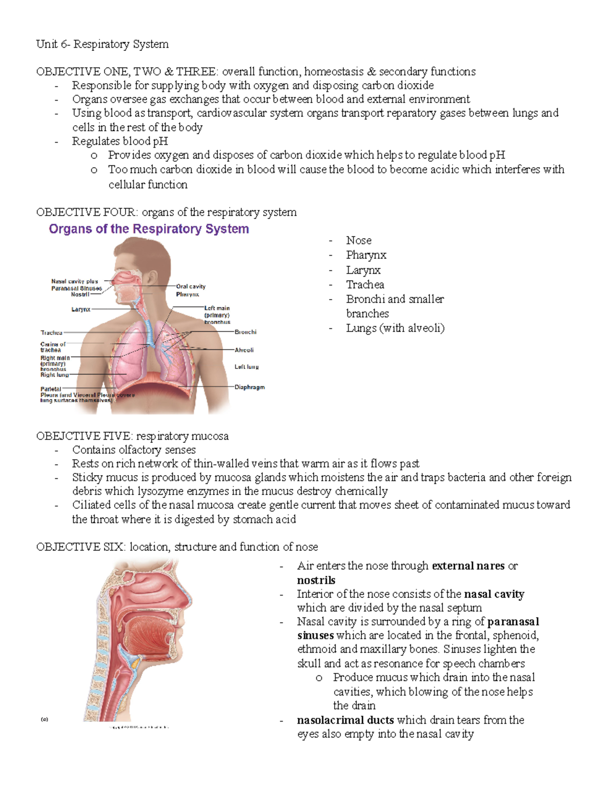 Unit 6 - Lecture notes 6 - Unit 6- Respiratory System OBJECTIVE ONE ...