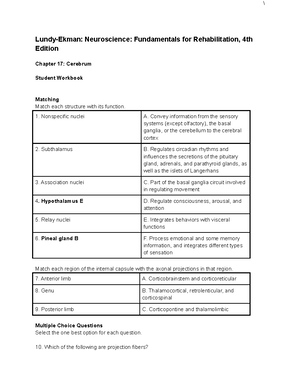 Msk Iii And Neuro Ii Class Notes Msk Iii Subscapular Muscle Is