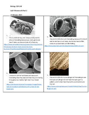 Lab 8 Handout - Diversity and Ubiquity of Microbes - 5 Activity 1 ...