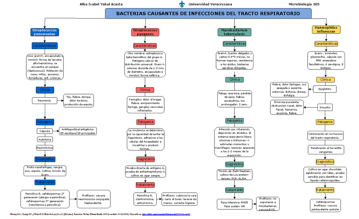 Infecci N Tracto Respiratorio Bacterias Causantes De Infecciones Del Tracto Respiratorio Studocu