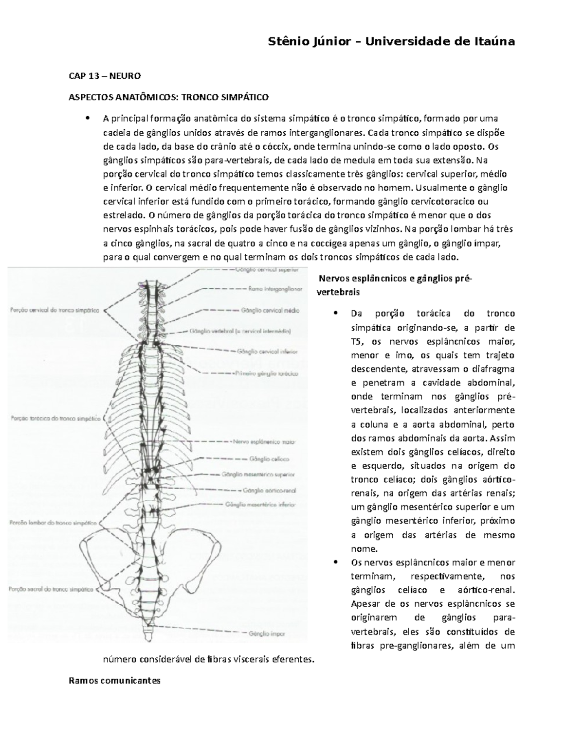 CAP 13 - Neuro - Ângelo Machado - Stênio Júnior – Universidade de ...
