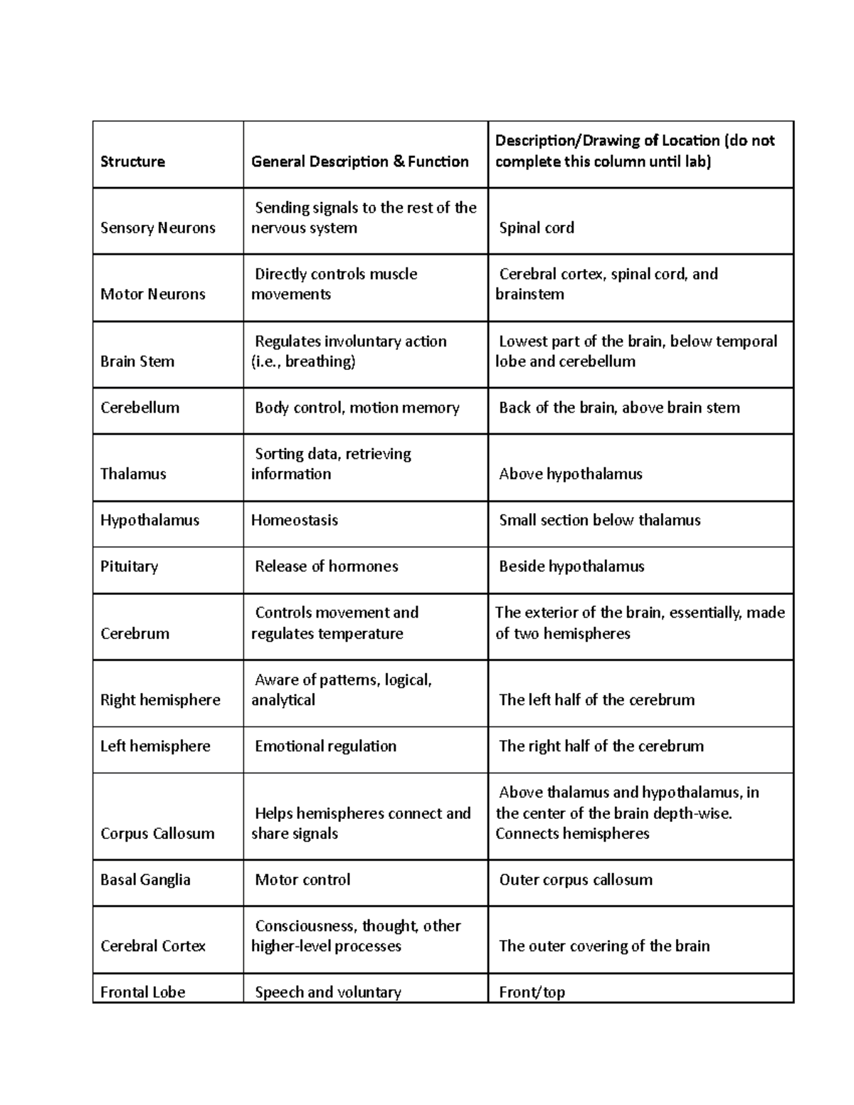 Brain Structures And Functions Chart - Structure General Description