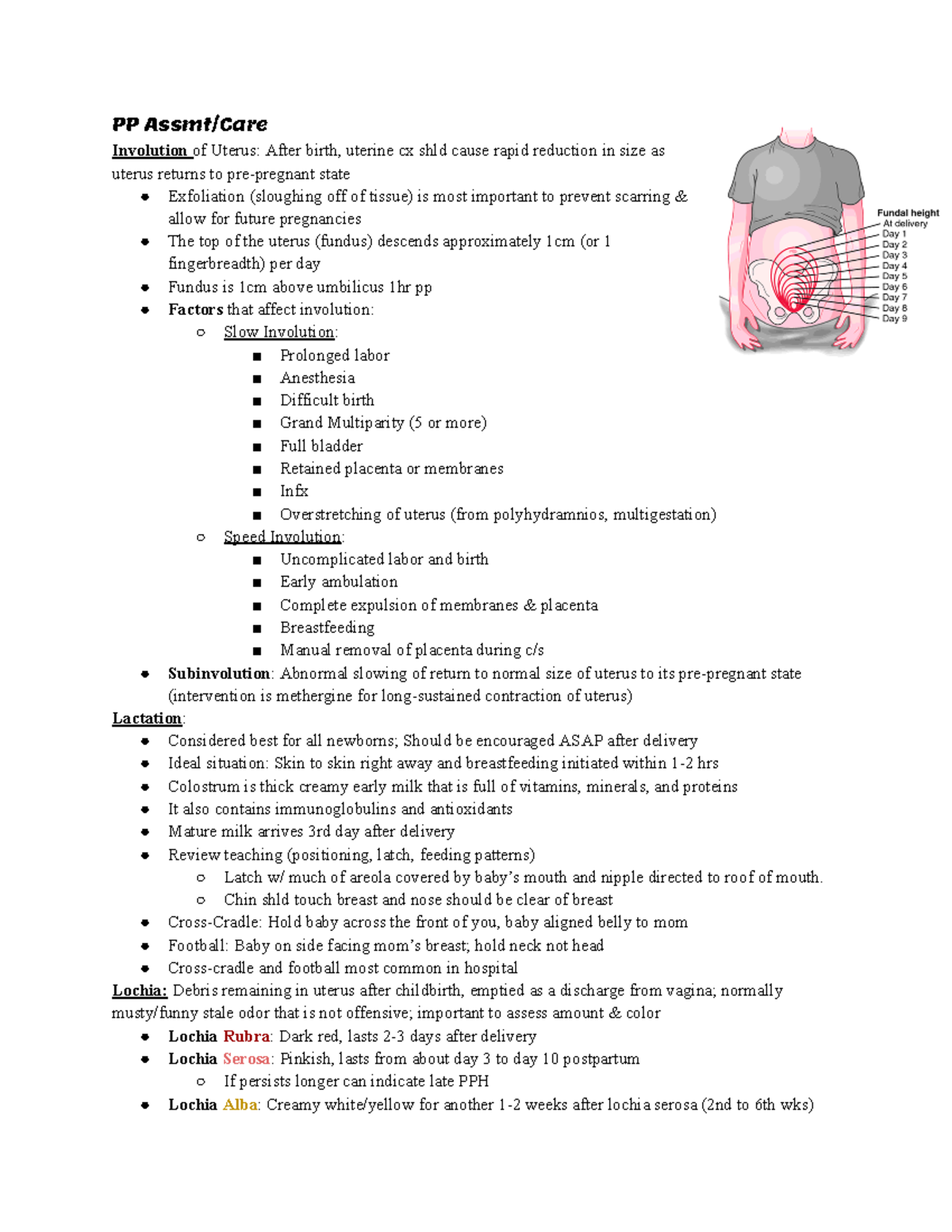 Women's Health Exam 3 Study Guide - Postpartum, Newborn at Risk - PP ...