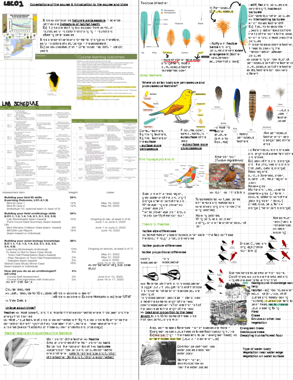 Lec 3 - lecture note 2 from Sanja's lecture ornithology courses for ...