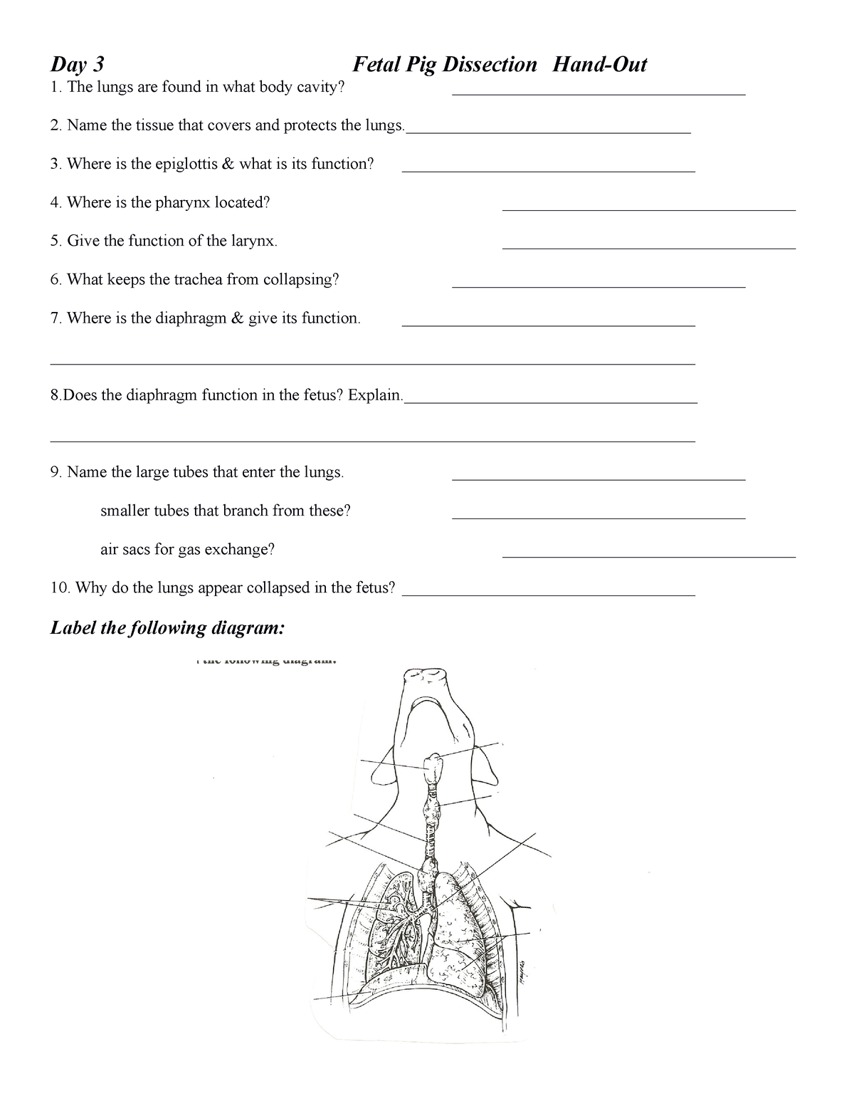 Fetal%20pig%20dissection%20handout%20respiratory%20day%203%20 - Day 3 ...