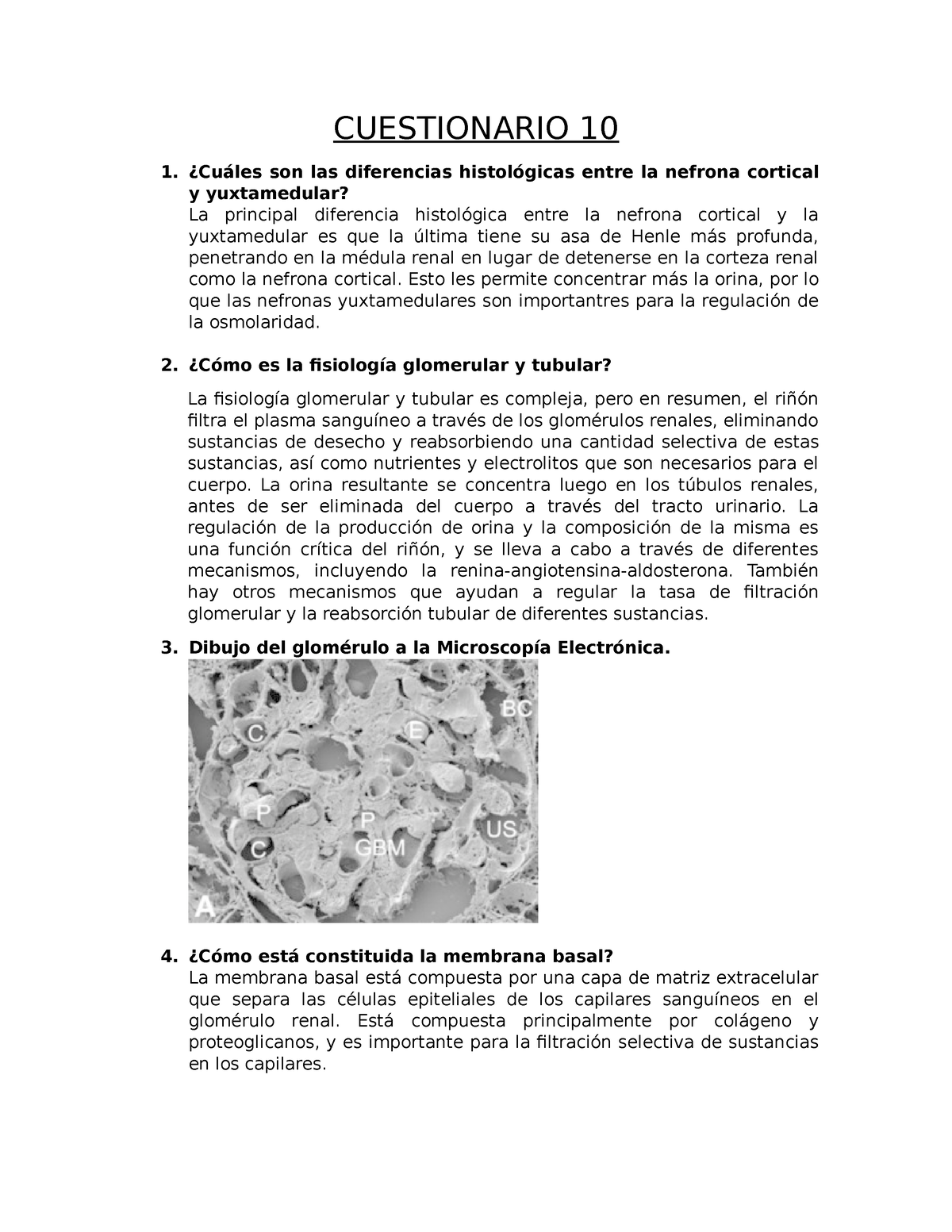 Cuestionario 10 - HISTOLOGÍA HUMANA - USMP - Studocu