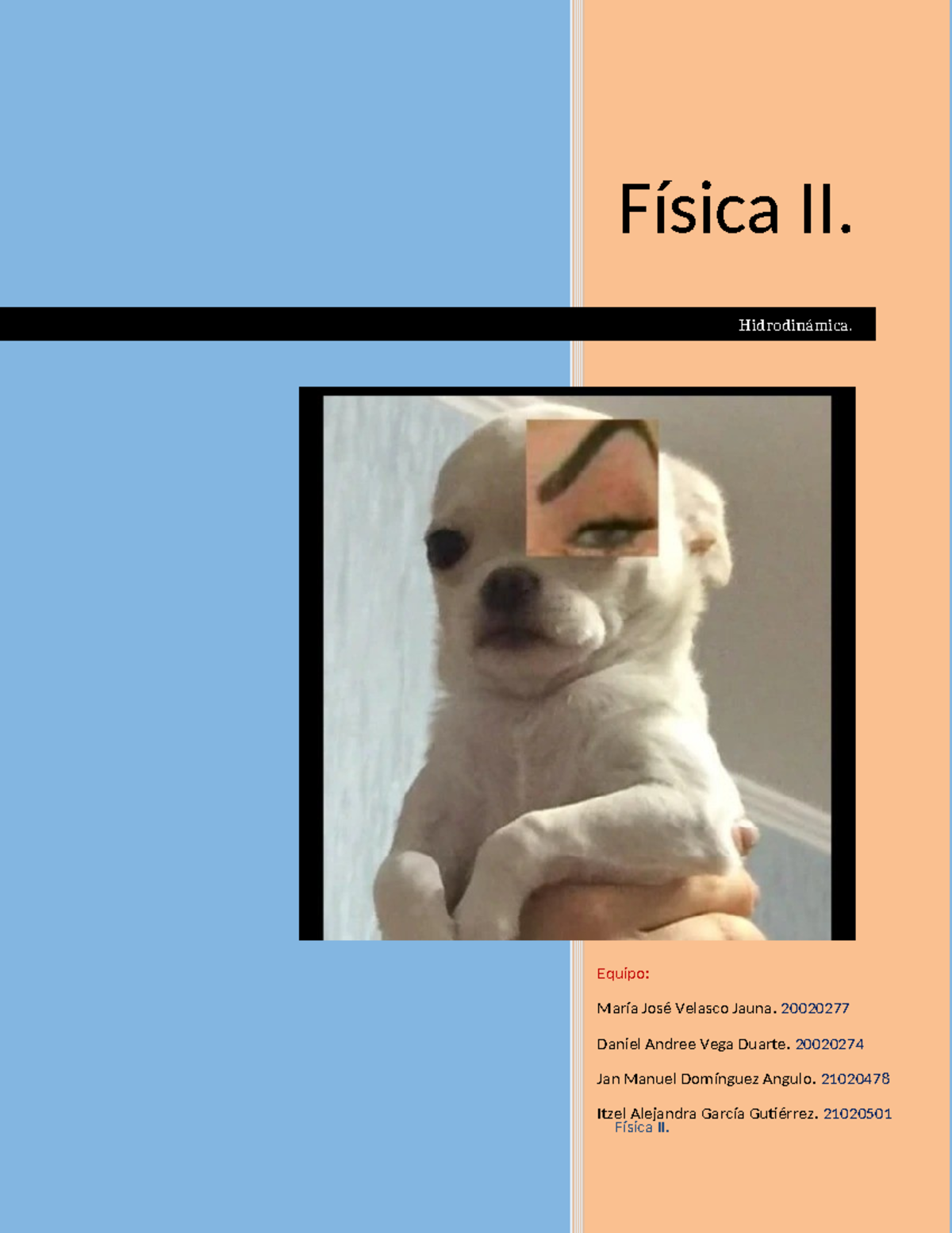 P1-FÍS2-Actividad 4-Hidrodinamica - Física II. Física II. Hidrodinámica ...