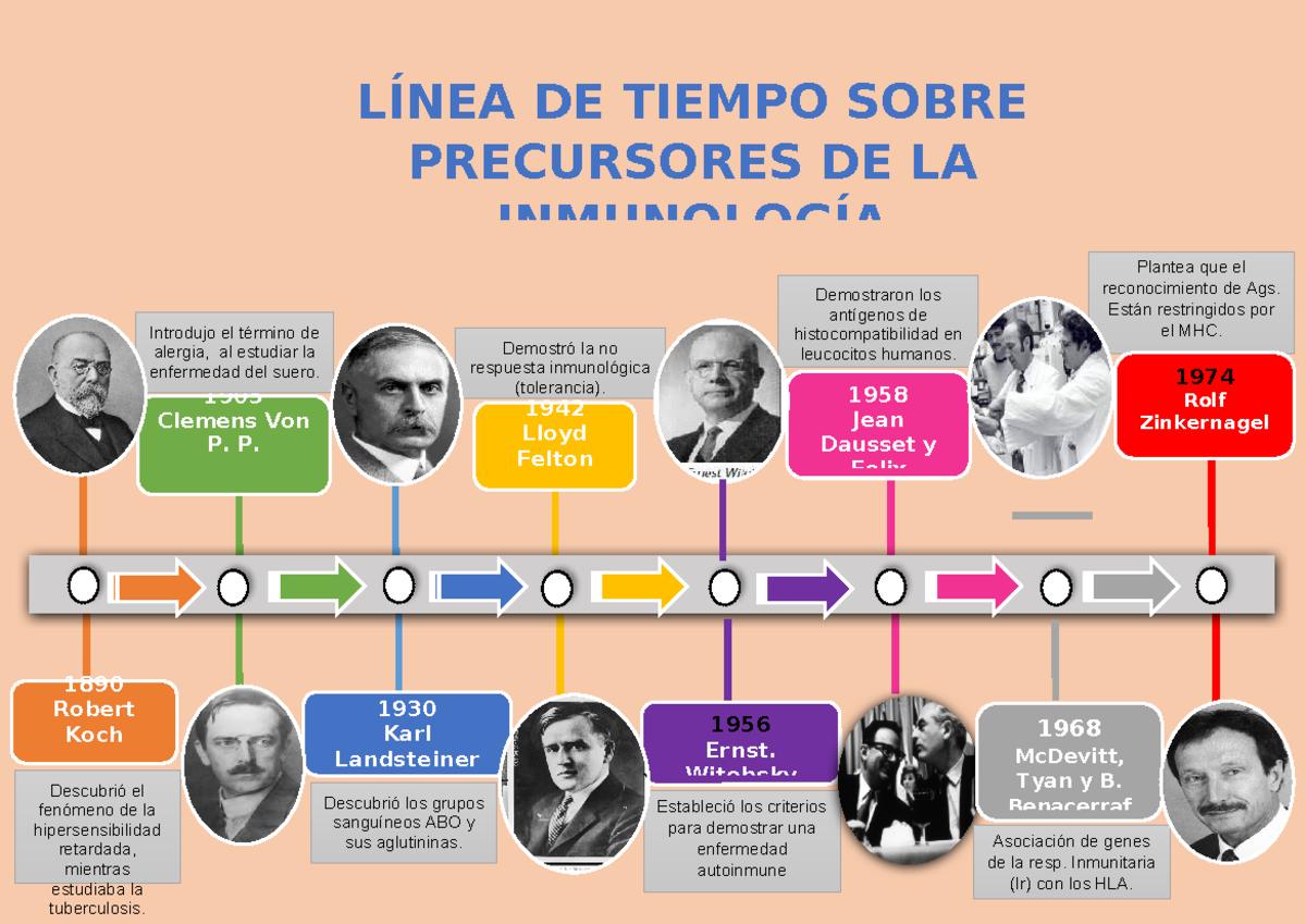 Linea tiempo - Resumen Inmunología Y Virología Veterinaria - 1958 Jean