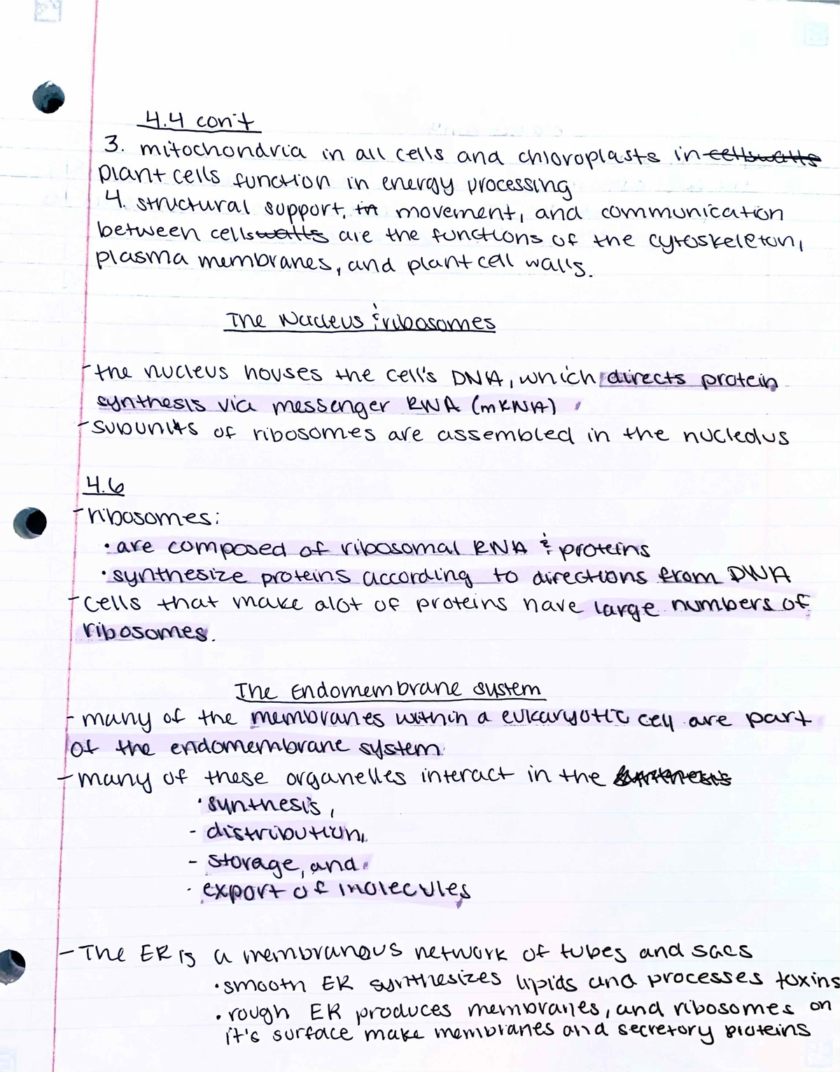 Biology Lecture: Exploring Life - BIO 1500 - Studocu