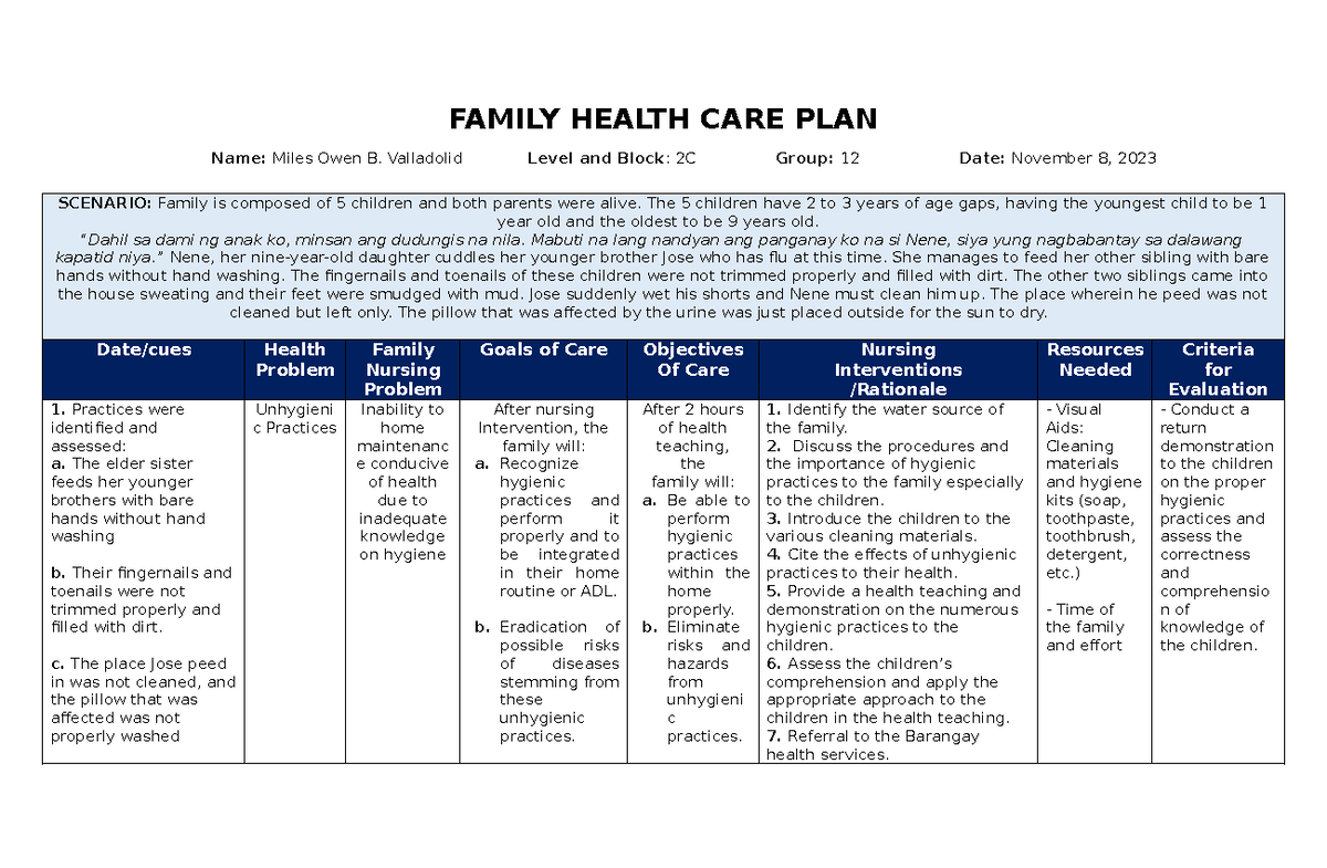 Family Health CARE PLAN - FAMILY HEALTH CARE PLAN Name: Miles Owen B ...