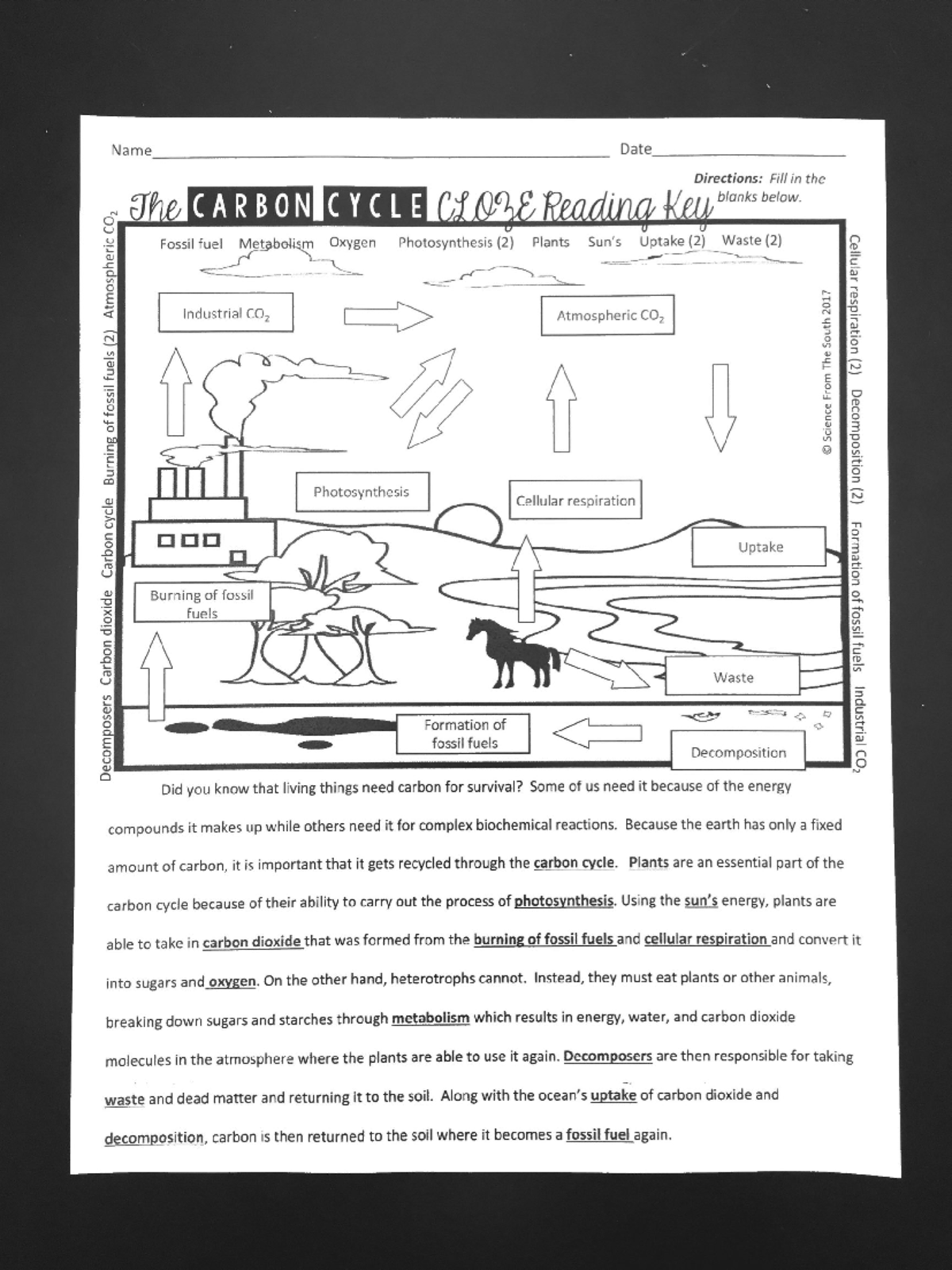 Carbon Cycle Worksheet Answer Key 1 BIOL 0038 Studocu