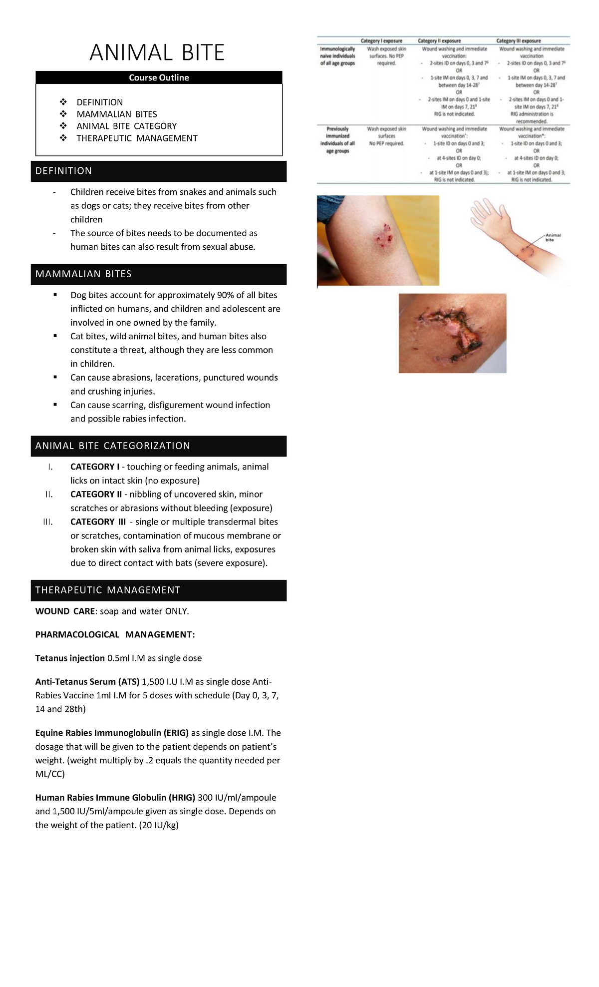 Nursing Care for Animal Bite - DEFINITION MAMMALIAN BITES ANIMAL BITE