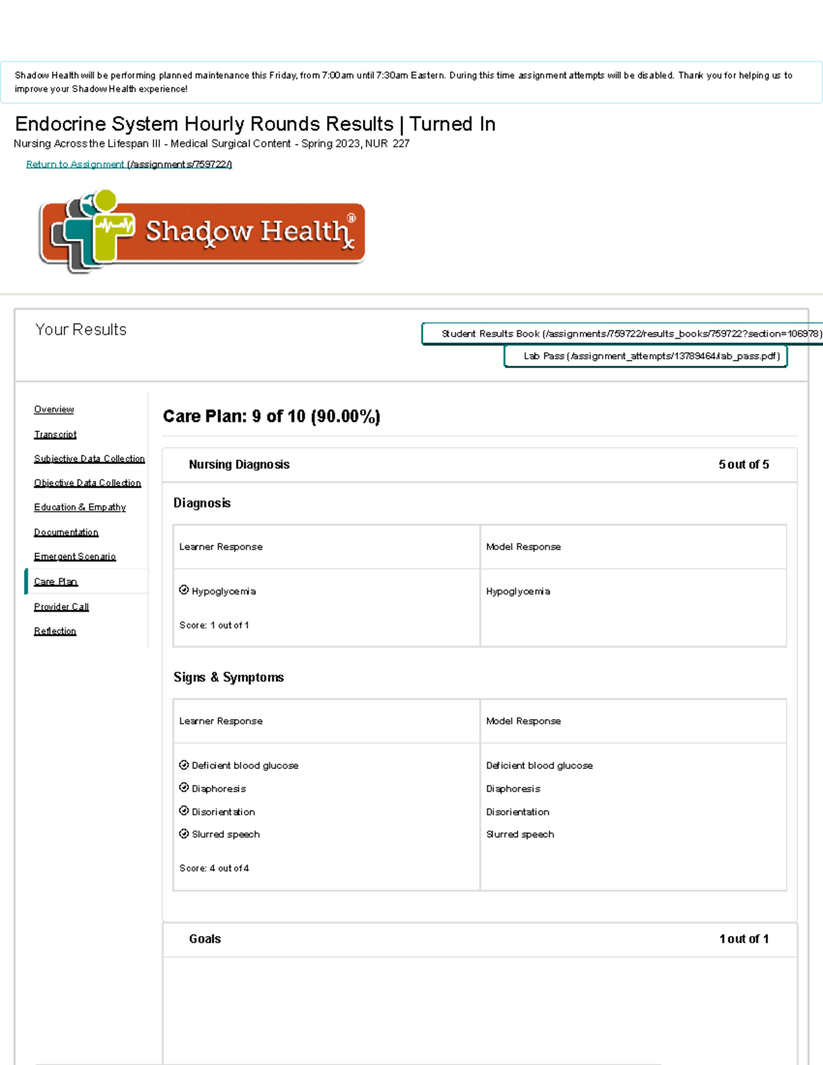Perioperative Care Hourly Rounds Shadow Health - bs75s3w