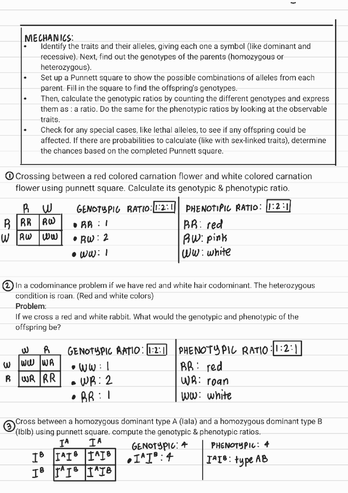 Genetics activity - MECHANICS: Identify the traits and their alleles ...