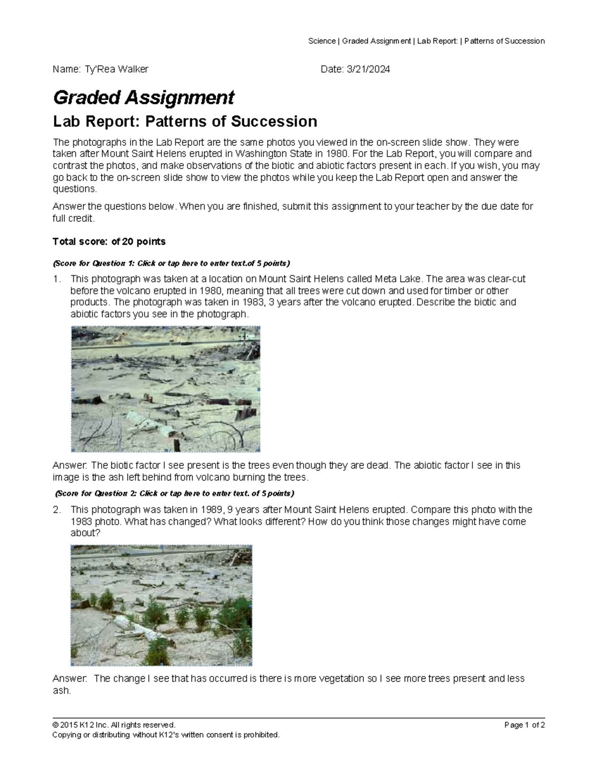 graded assignment lab report patterns of succession