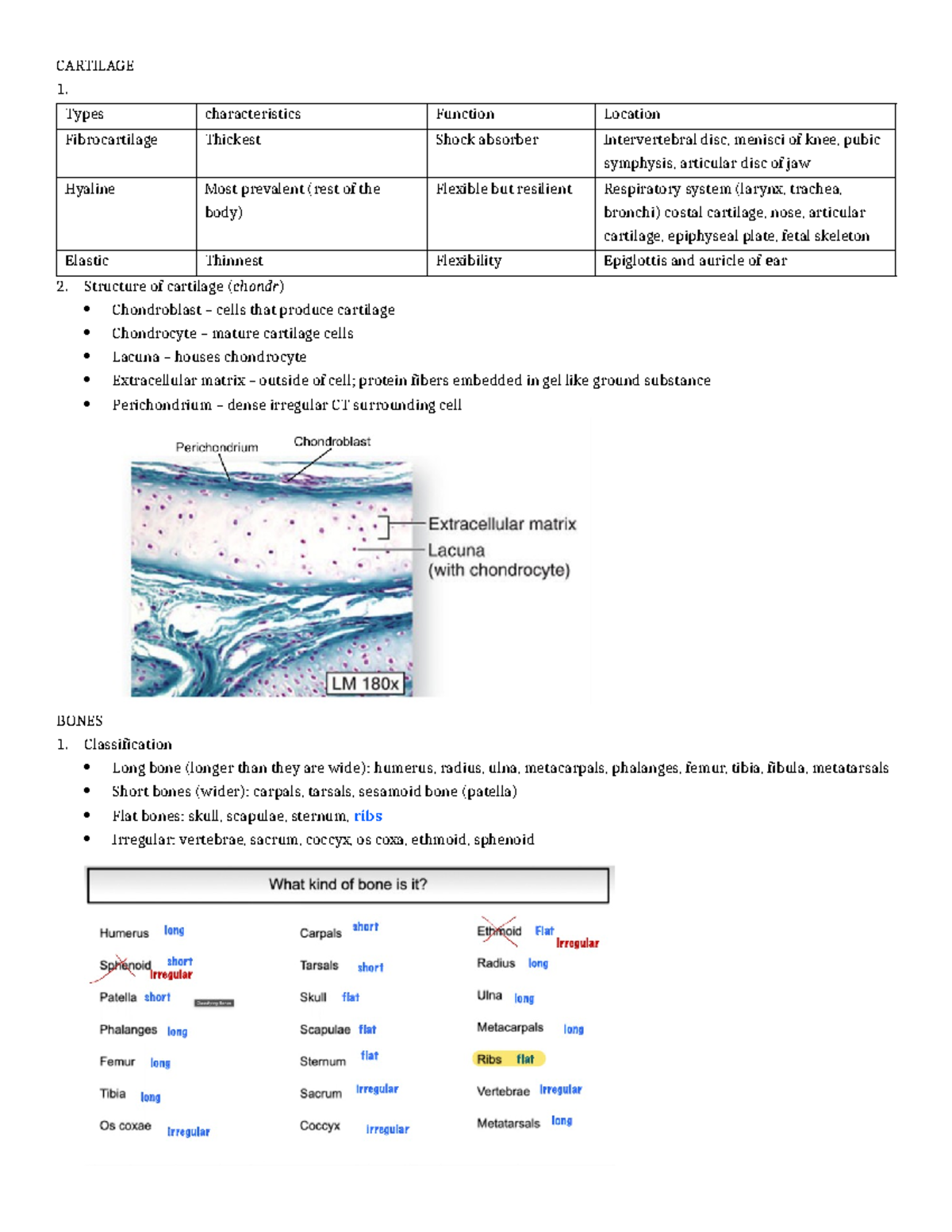 L4 Cartilage and bone - 210 - CARTILAGE 1. Types characteristics ...