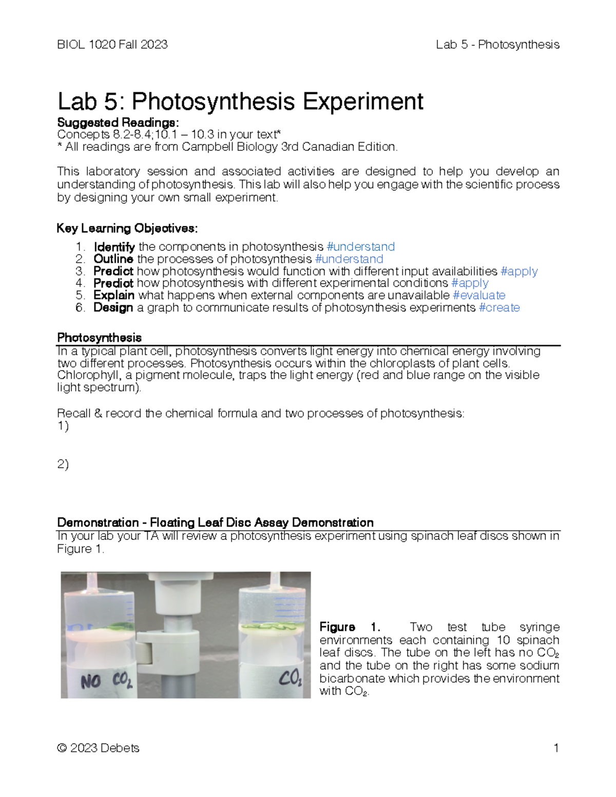 BIOL 1020 Lab 5 Handout Lab 5 Photosynthesis Experiment Suggested Readings Concepts 8.28