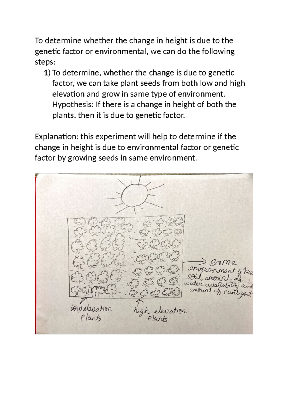 Bio activity - To determine whether the change in height is due to the ...