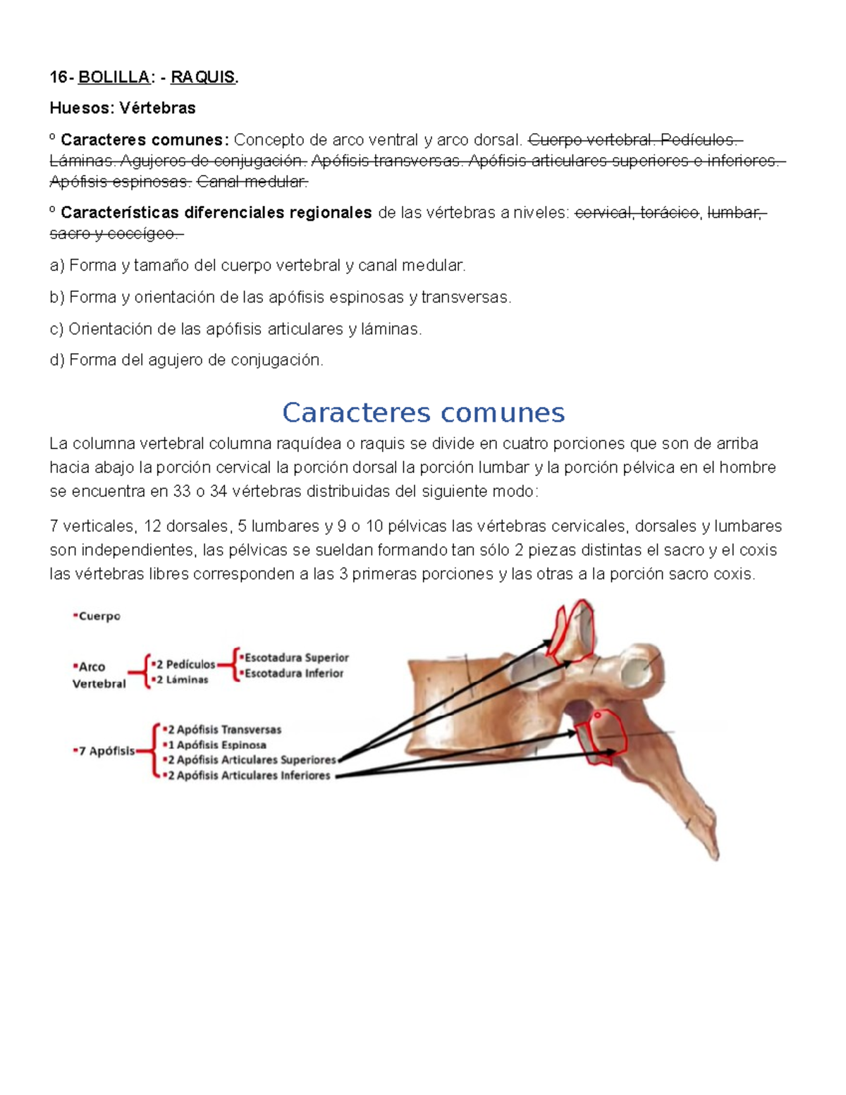 Bolilla 16,17,18,19 - Para Leer Y Compartir, El Conocimiento No Ocupa ...