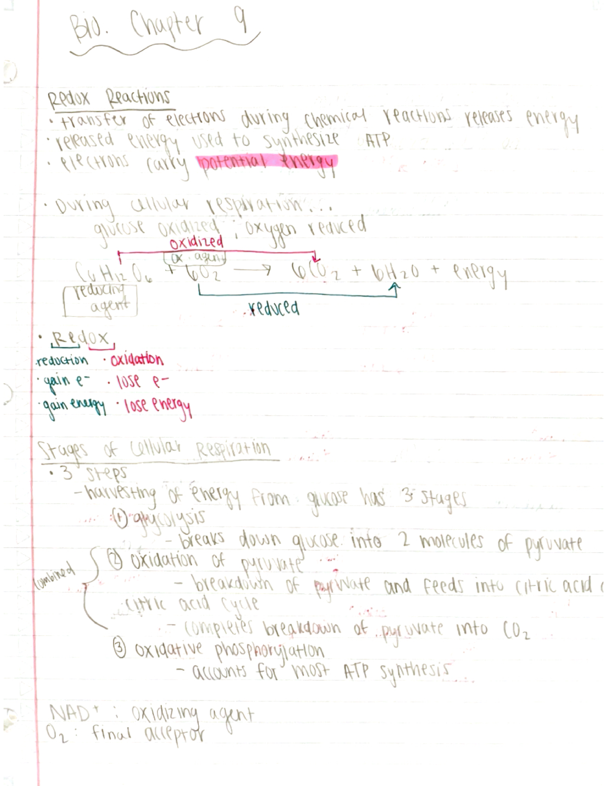 BSC2010- Chapter 9 Summary - BSC 2010 - Studocu