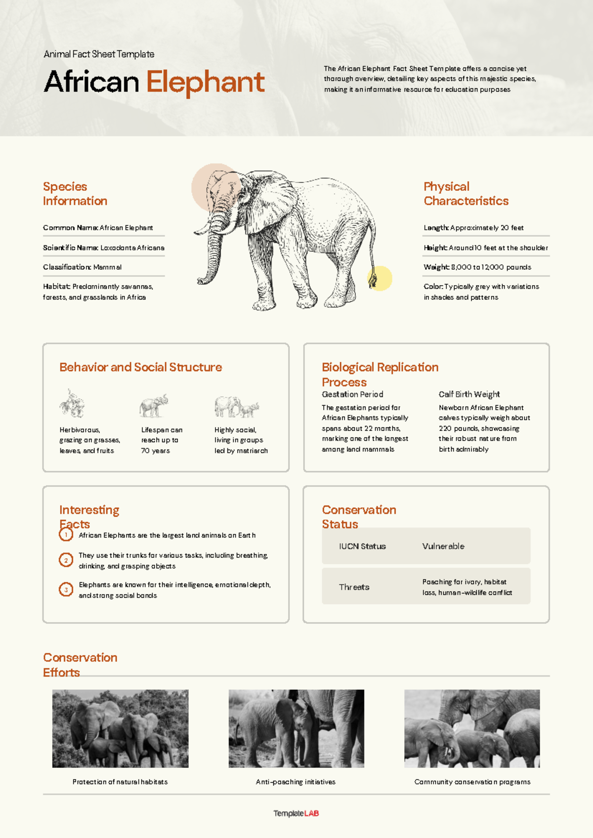 Animal Fact Sheet Template - Conservation Efforts Protection of natural ...