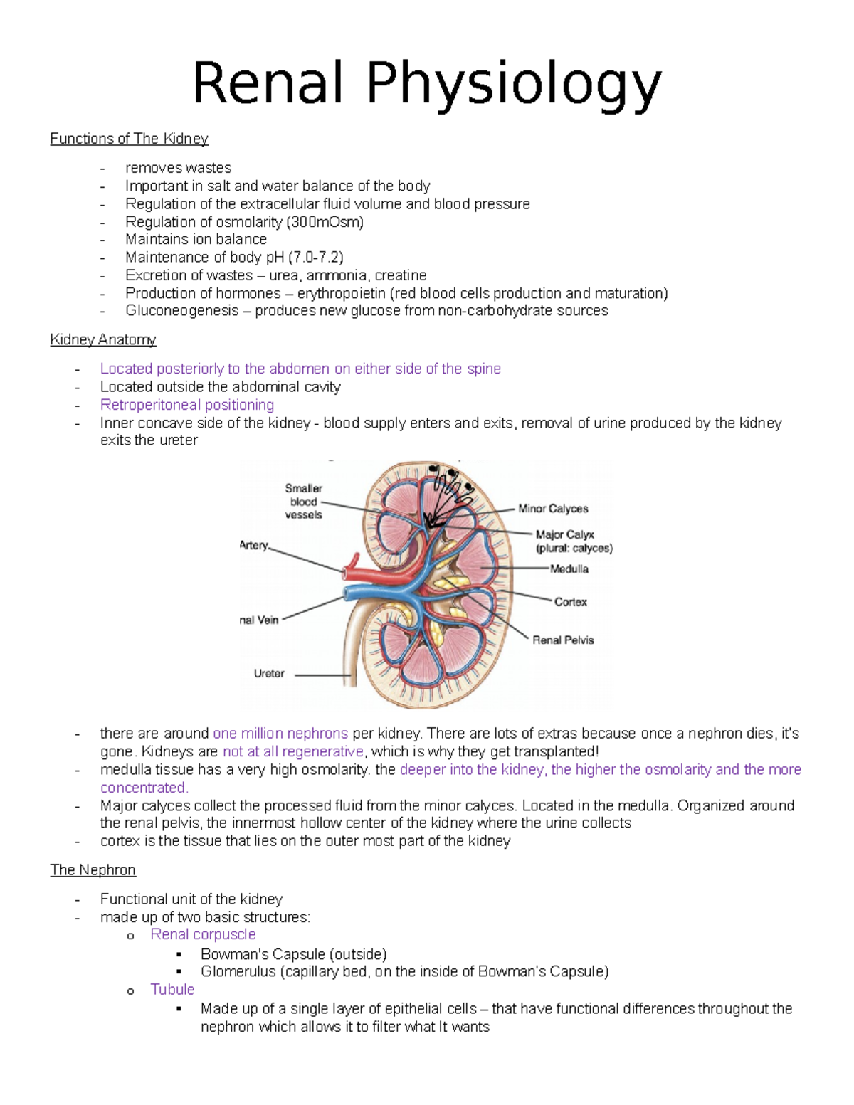 5 - Renal Physiology - Renal Physiology Functions of The Kidney removes ...