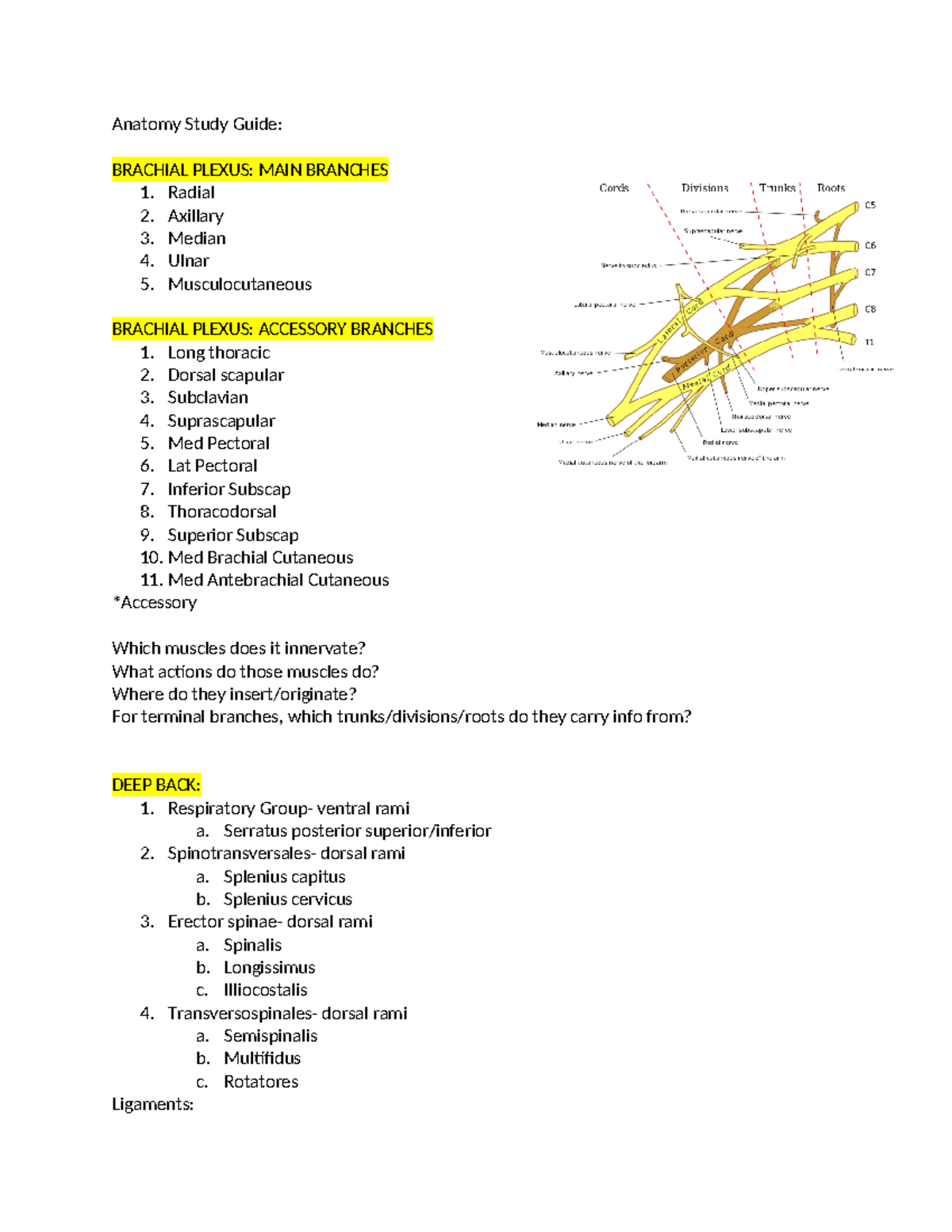 Anatomy Study Guide - Bellringer Practice material - Anatomy Study ...