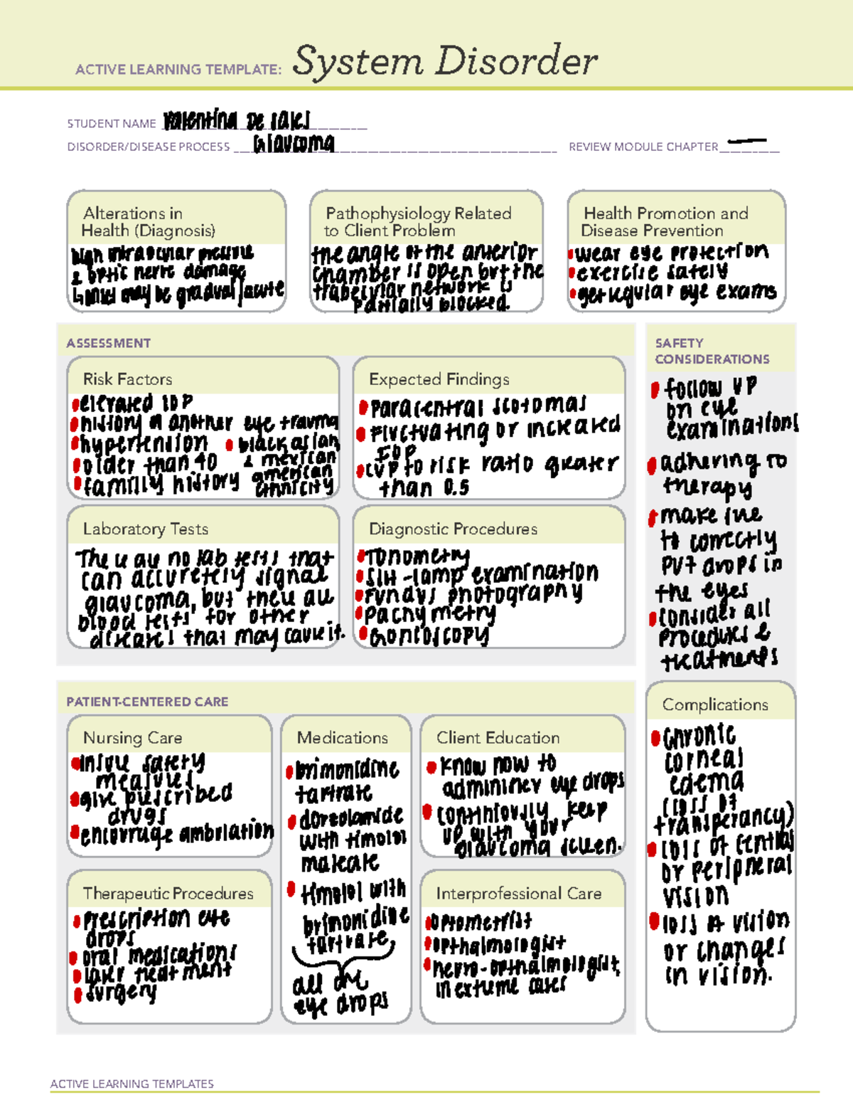 glaucoma-remediation-active-learning-templates-system-disorder