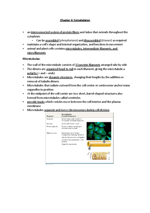 Life Sciences Survival Kit Paper 1 - CAPE WINELANDS EDUCATION DISTRICT ...