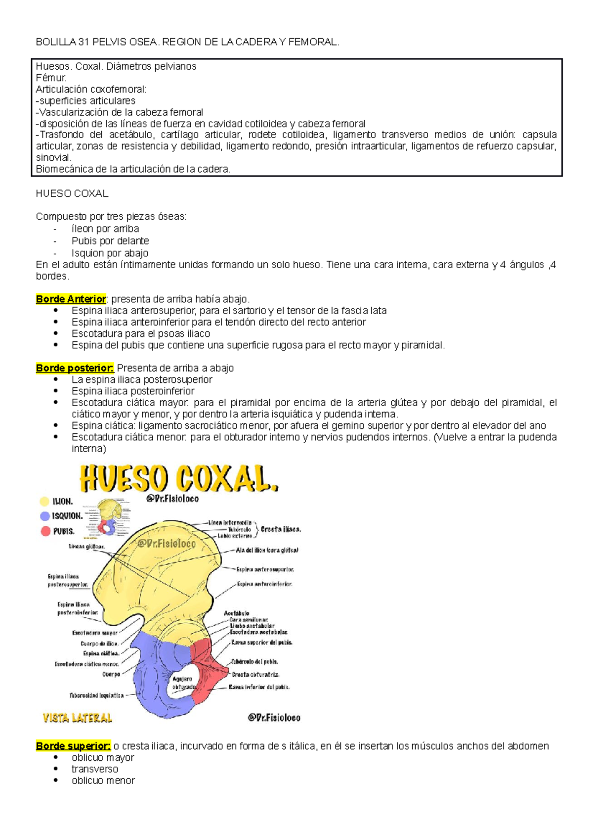 31 GUIA DE Estudio 31 - Pelvis OSEA - BOLILLA 31 PELVIS OSEA. REGION DE ...