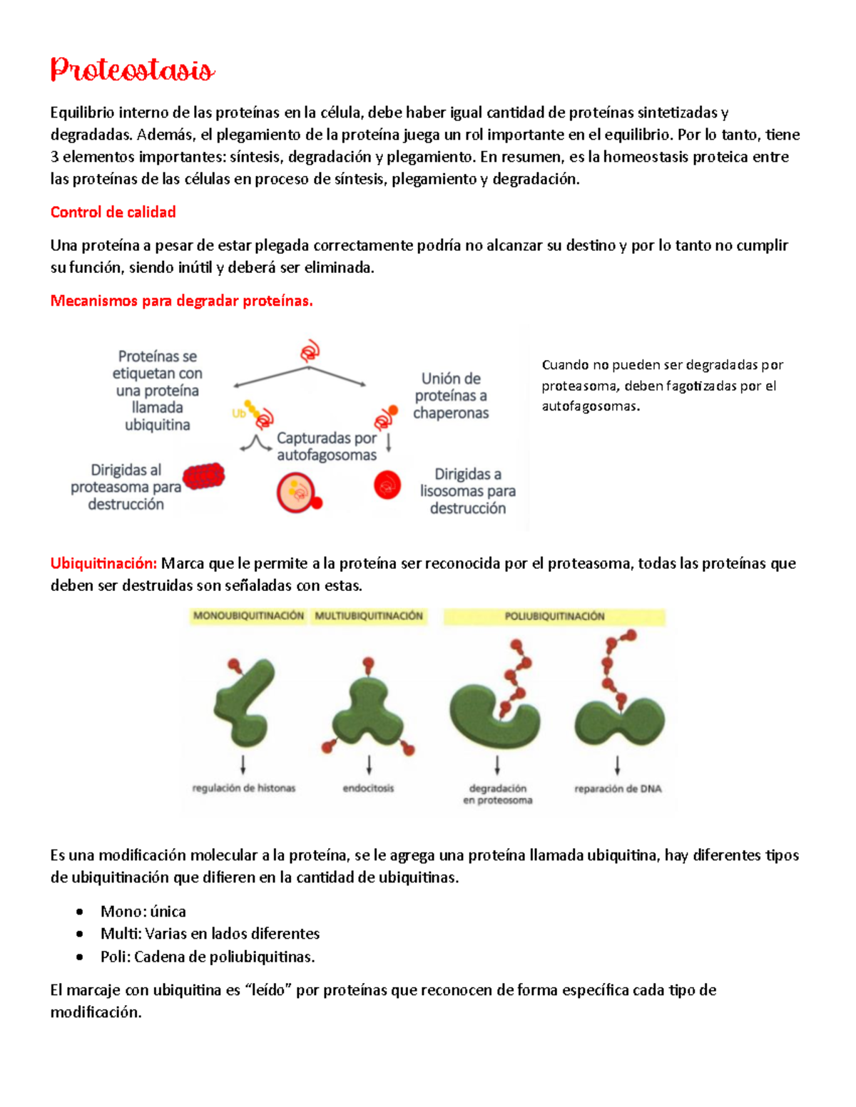 Unidad 2 Clase 7 Proteostasis - Proteostasis Equilibrio interno de las ...