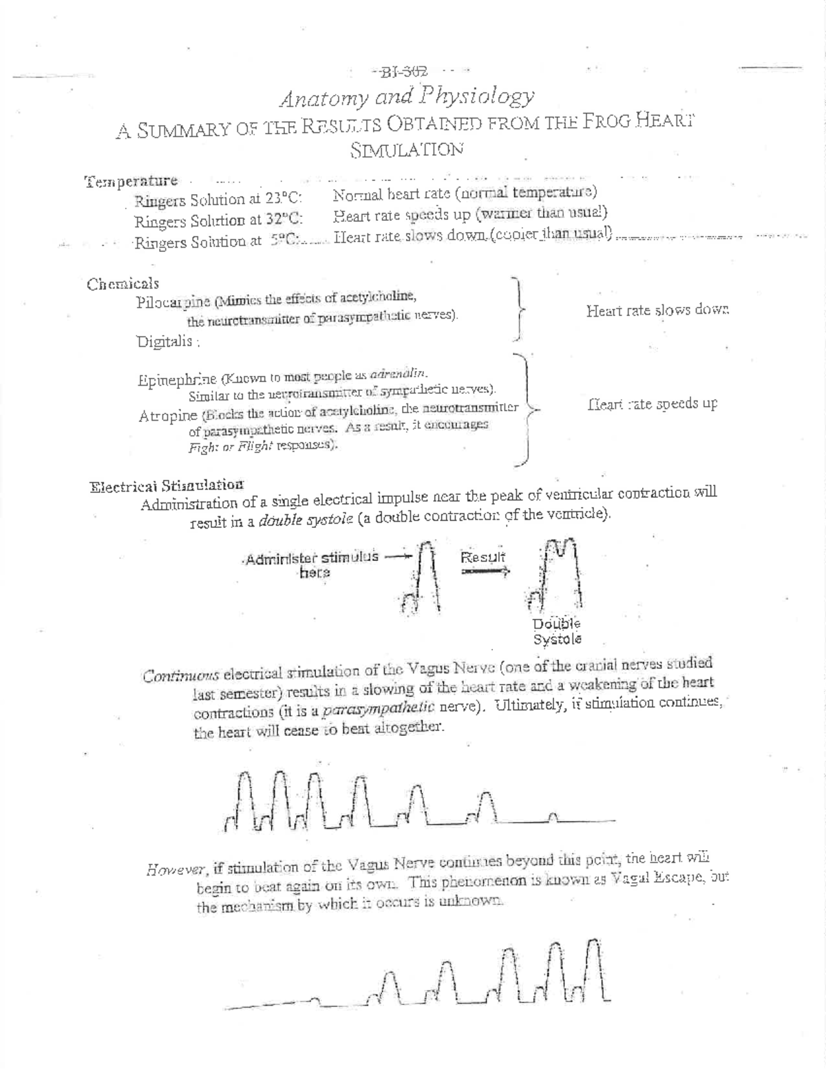 Frog Heart Summary - BI 302 - Studocu