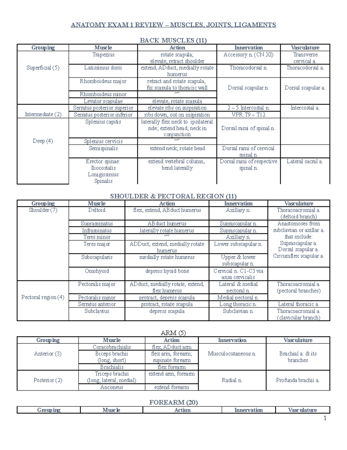 Muscle innervation and extras - ANATOMY EXAM 1 REVIEW – MUSCLES, JOINTS ...